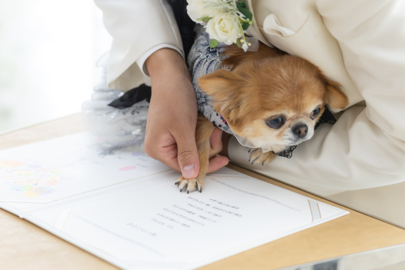 誓約書にはお名前ではなく手形で証人に！