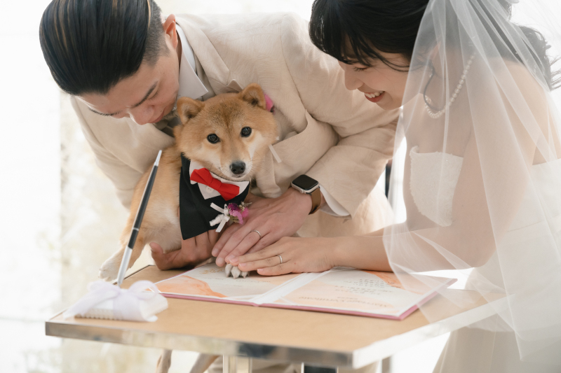 わんちゃんと一緒!