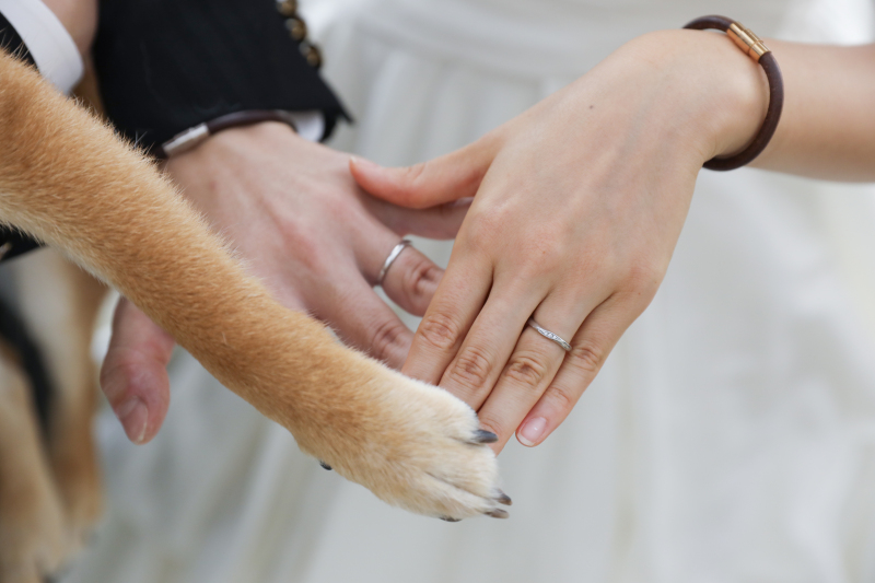 これからはふたりで力をあわせて?!