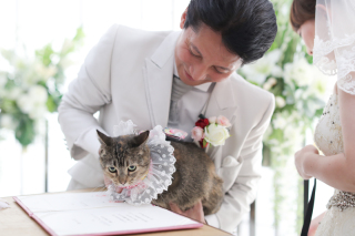 小さな結婚式 大阪ハービスENT店