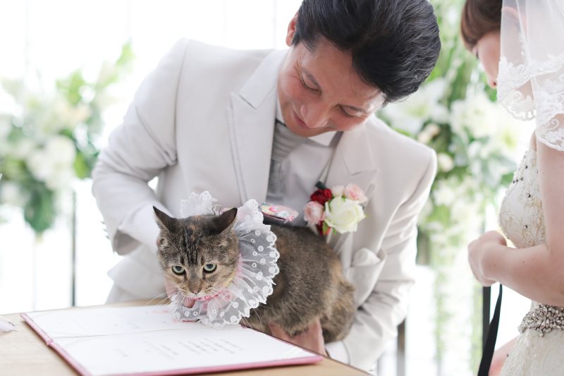 小さな結婚式 大阪ハービスENT店_ペットと一緒に撮影できる