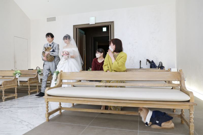 小さな結婚式 大阪ハービスENT店_ペットと一緒に撮影できる