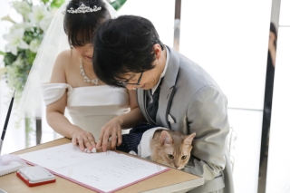 小さな結婚式 大阪ハービスENT店_ペットフォト