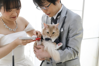 小さな結婚式 大阪ハービスENT店_ペットフォト