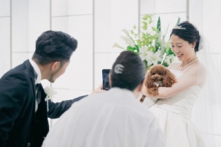 小さな結婚式 大阪ハービスENT店_ペットフォト