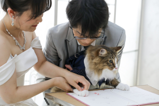 小さな結婚式 大阪ハービスENT店_ペットフォト