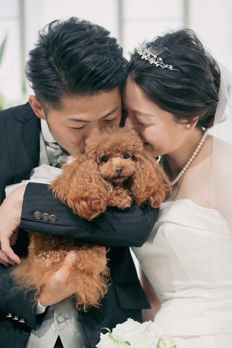 ペットを抱っこできますよ~~~!