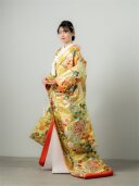 桃山花灯り(ﾋﾜ) 