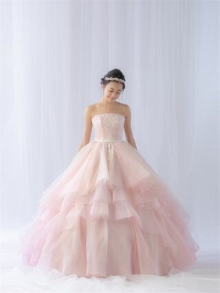 Pinkgarbera ﾋﾟﾝｸｶﾞｰﾍﾞﾗ