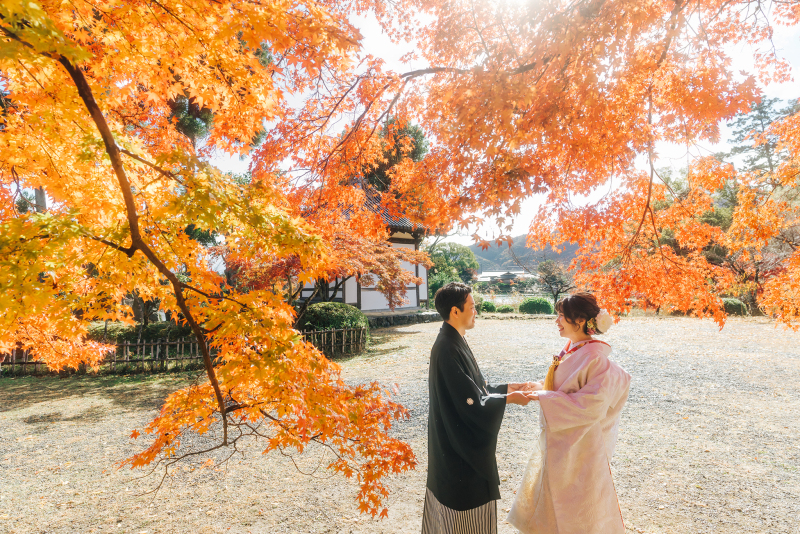 紅葉ロケーション大覚寺境内