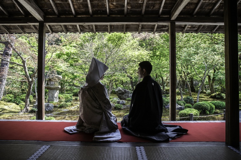 圓光寺のお庭を見ながら