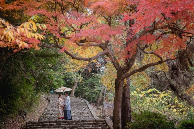 様々な雰囲気で