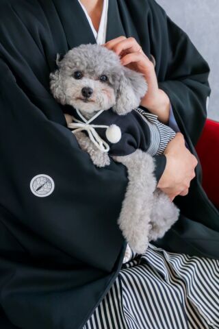 【ペット撮影」わんちゃんと一緒に和装♪