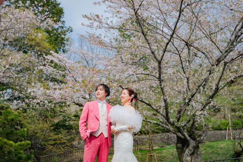 春のお問い合わせ増えてます！