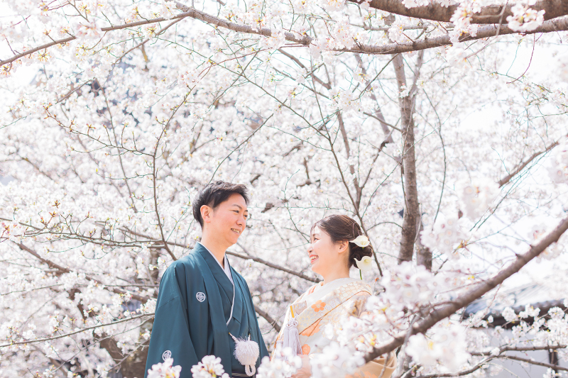 名所である桜のショット