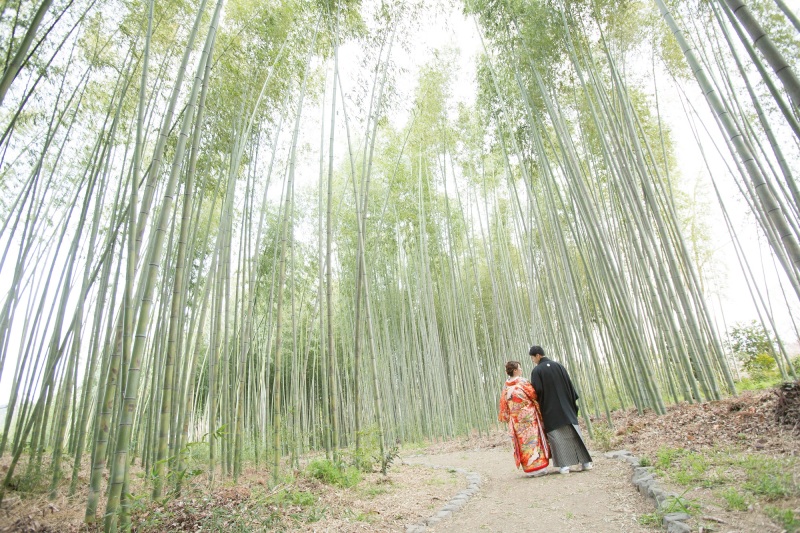 大覚寺の竹林にて