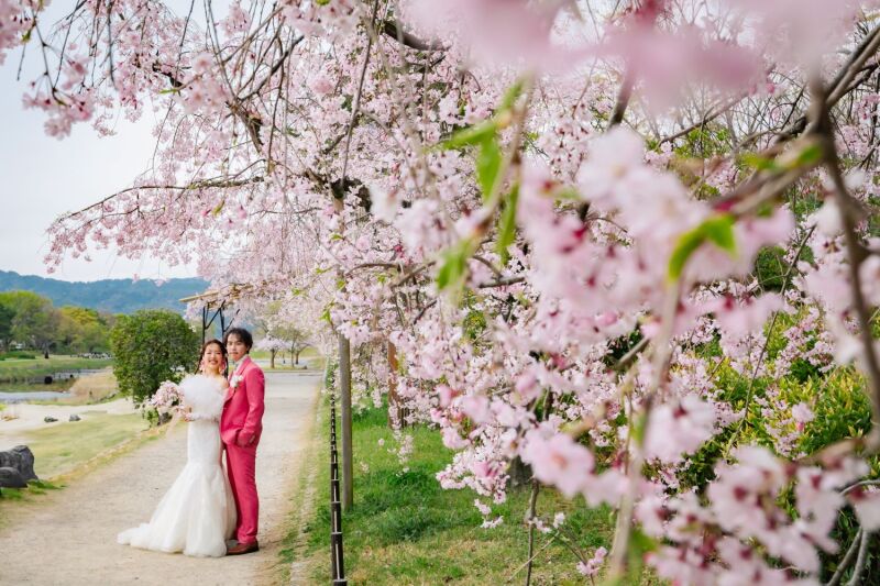 洋装さくら撮影