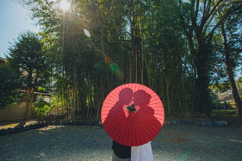 太陽の光でシルエット撮影