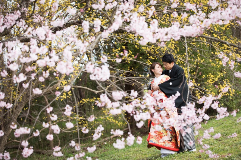 桜に包み込まれて