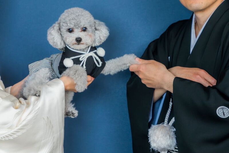 最後はわんちゃんのソロショット