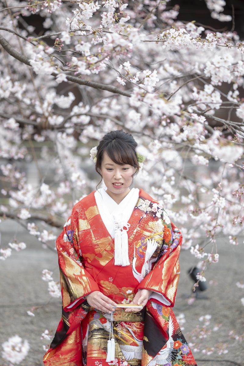 桜の時期に京都散策