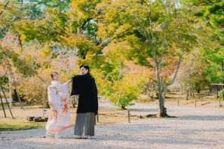 仁和寺【和装】