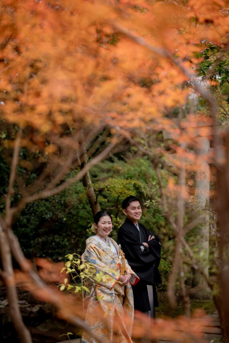 色鮮やかな紅葉