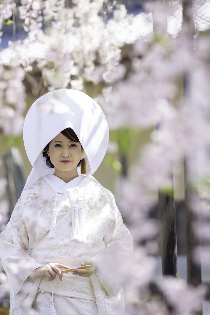 桜に包まれて・・