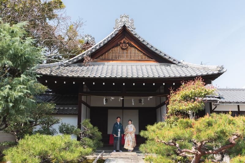 桜ロケーション【立本寺】