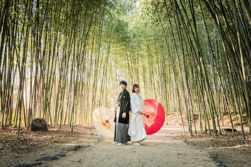 大覚寺でのご撮影ポイント