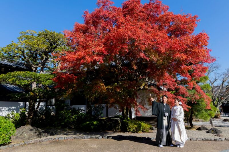 紅葉でのご撮影