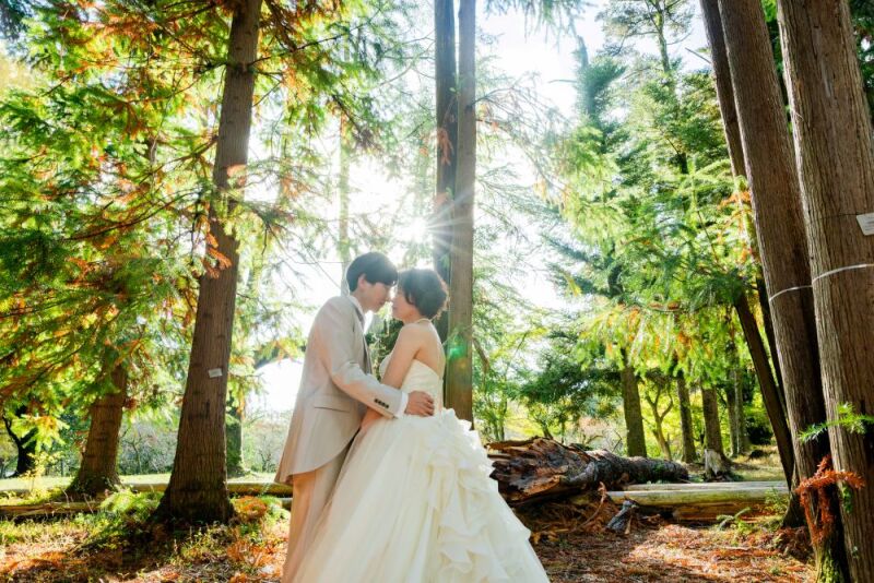 優しい光に包まれて