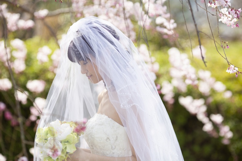 ベールから覗く美しい横顔