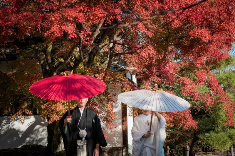 仁和寺【和装】