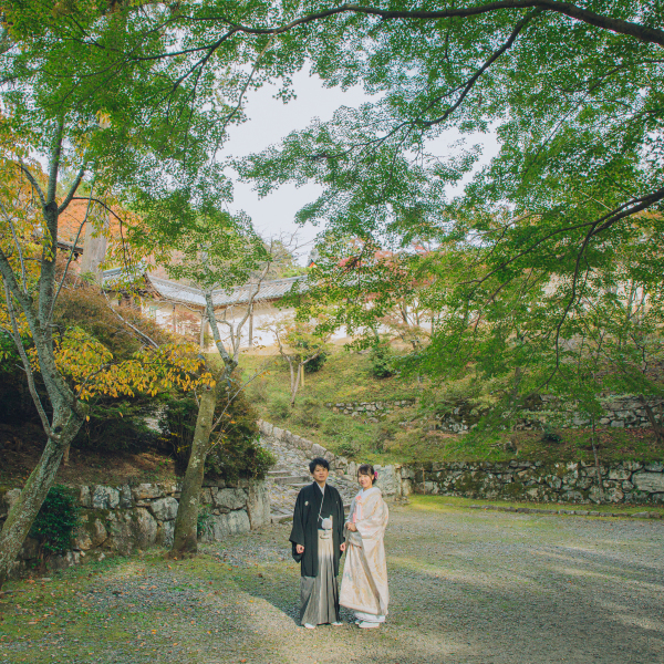 日本らしさが伝わります