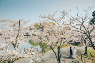 春の大覚寺（桜）