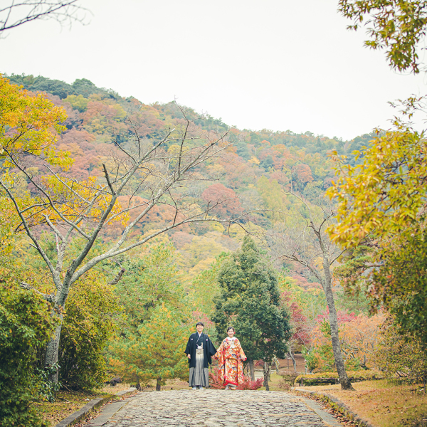 何でもないようで素敵な一枚