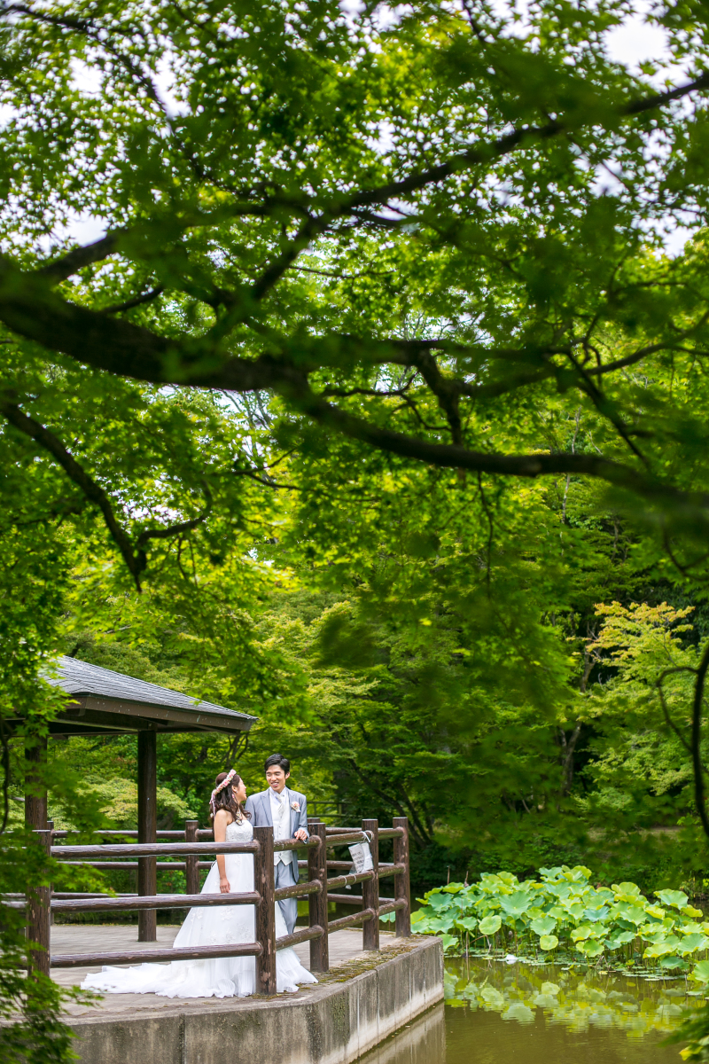 夏目前の新緑で