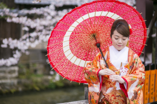 番傘と桜のコラボレーション