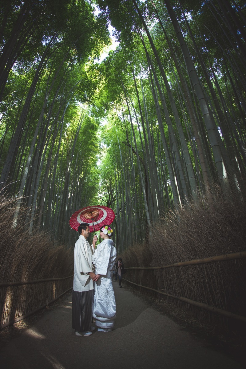 竹林で京都らしさ満載