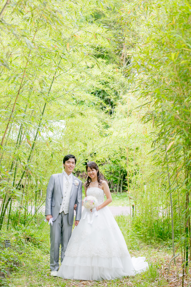 緑の木々に囲まれて