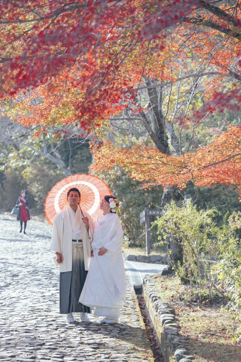 今年の秋も紅葉で