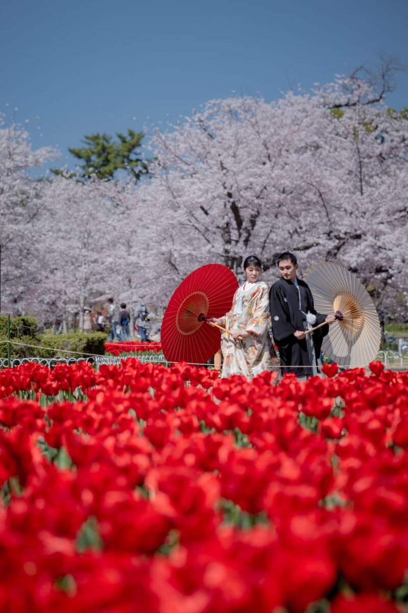 ワタベウェディング京都フォトスタジオ_庭園で撮影できる