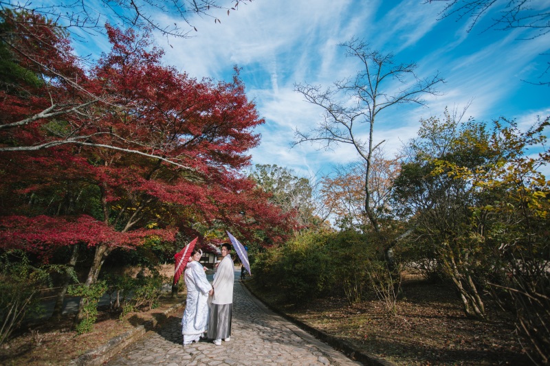空の青さが紅葉と素敵なコントラストに