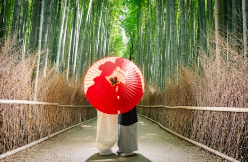 【京都限定】ロケーションフォトが今だけ3万円オフ 重要文化財・世界遺産の神社仏閣の人気撮影地を豊富にご用意♪