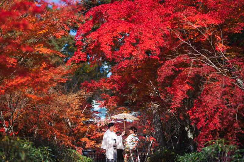 紅葉ならこちらのプランがお得!紅葉ロケーションプラン【紅葉シーズン料金2万円OFF】