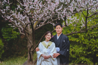 満開の梅の下で