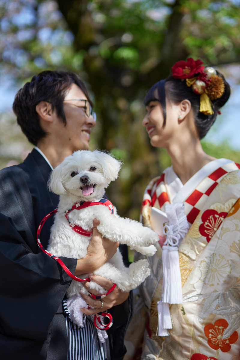 ワンちゃんも一緒に！