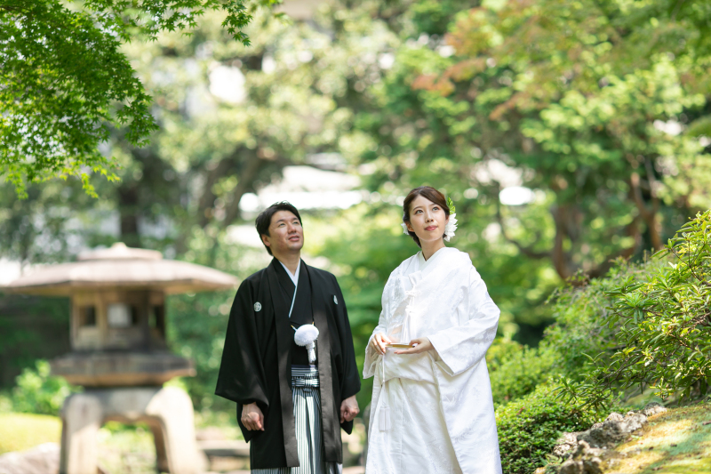 みずみずしい緑が美しいサマーシーズン