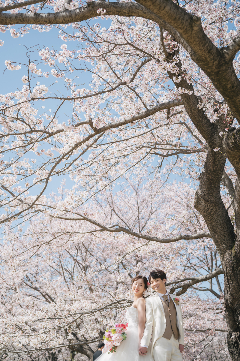青空と桜のコントラスト